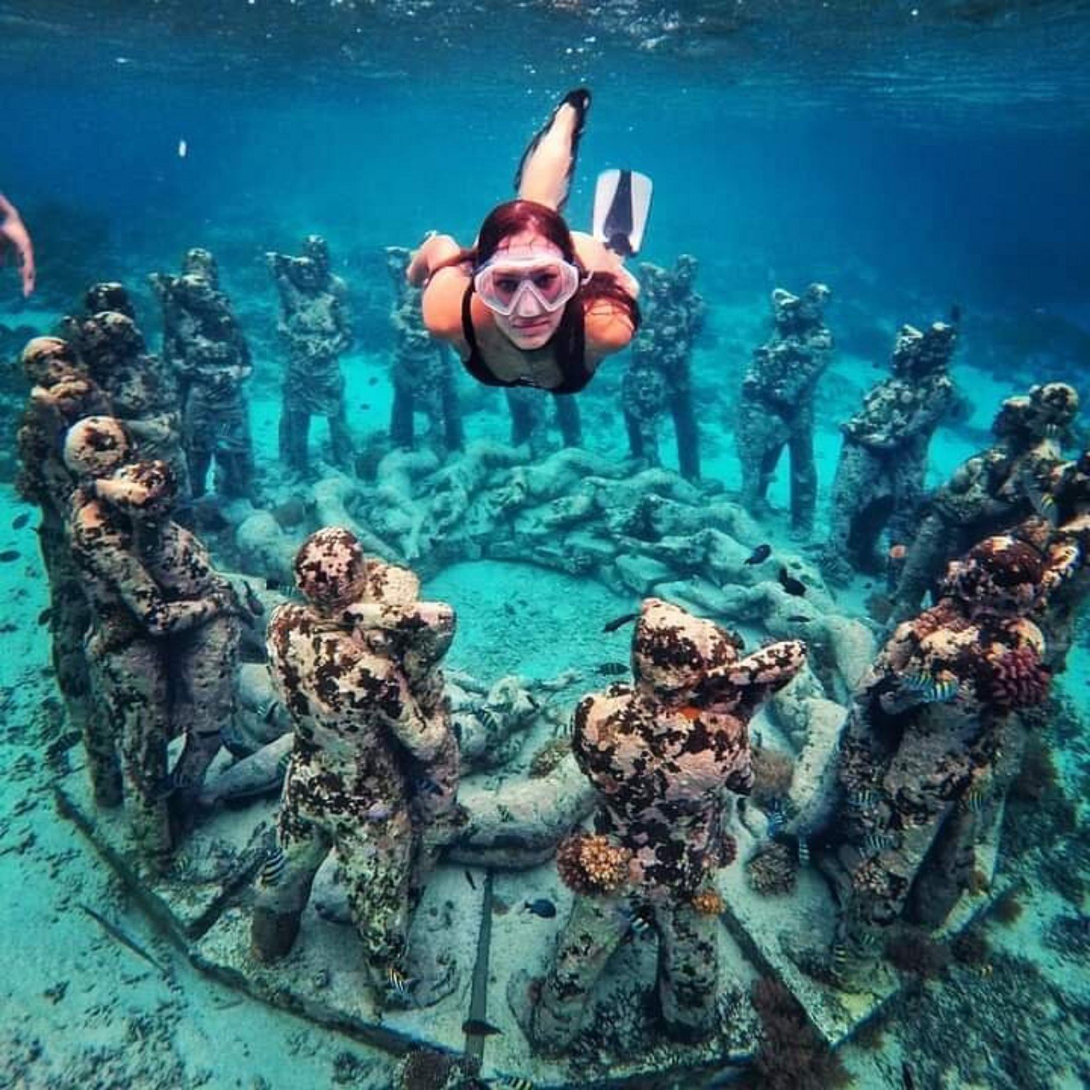 Snorkeling Trip